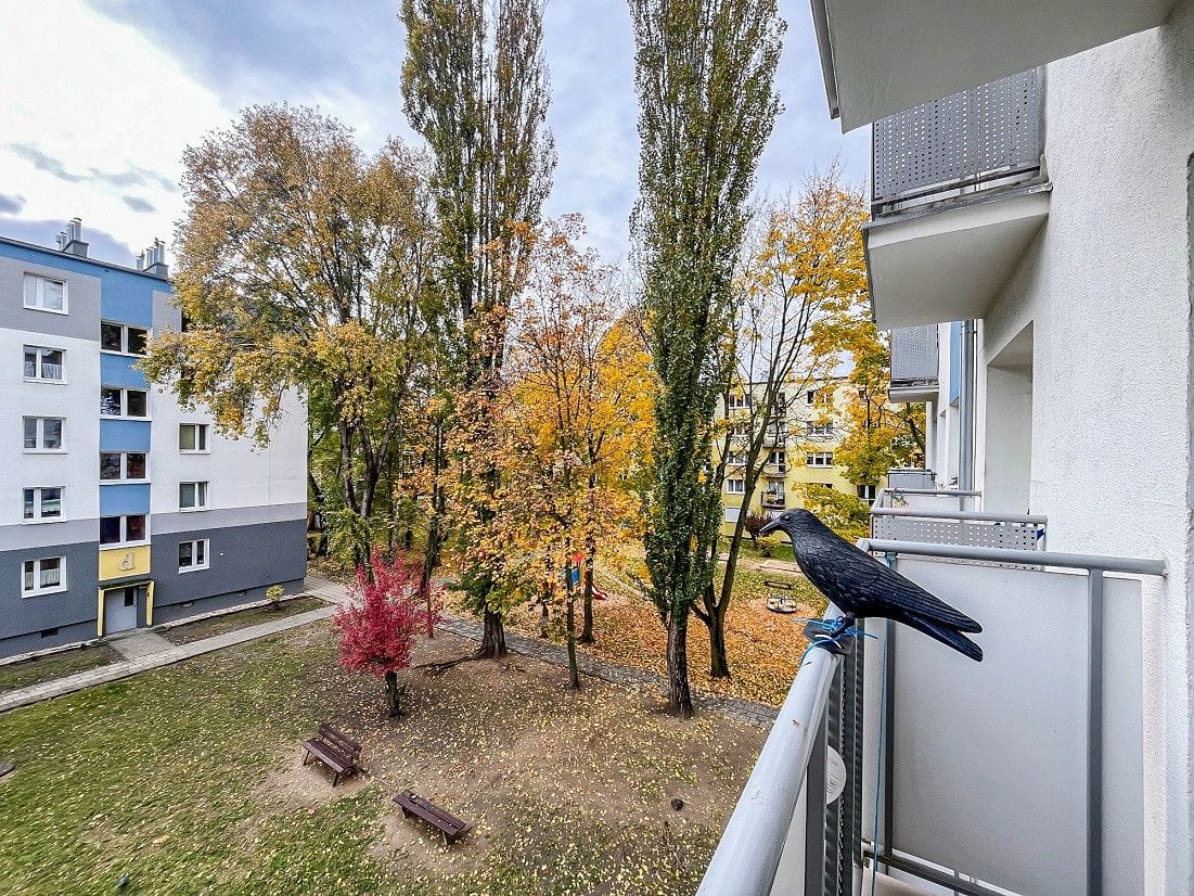 Mieszkanie 2 pokojowe na Sprzedaż