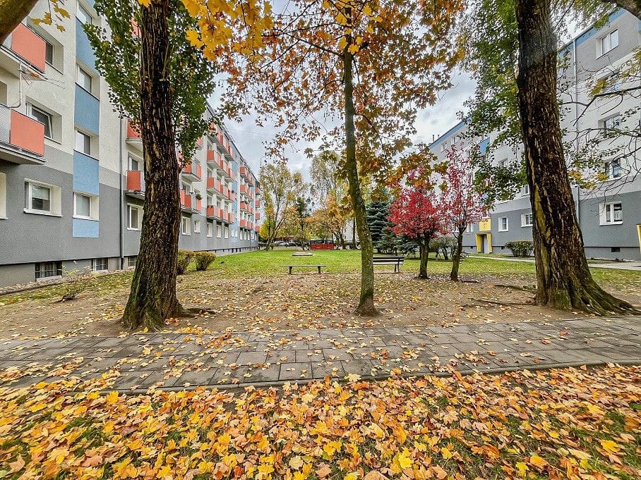 Mieszkanie 2 pokojowe na Sprzedaż