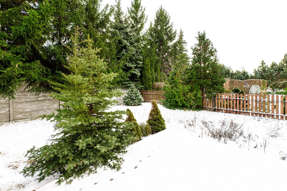 Dom 5 pokojowe na Sprzedaż