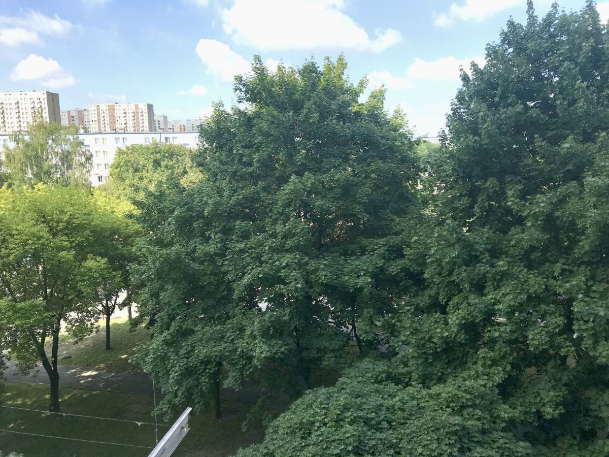 Mieszkanie 2 pokojowe na Wynajem