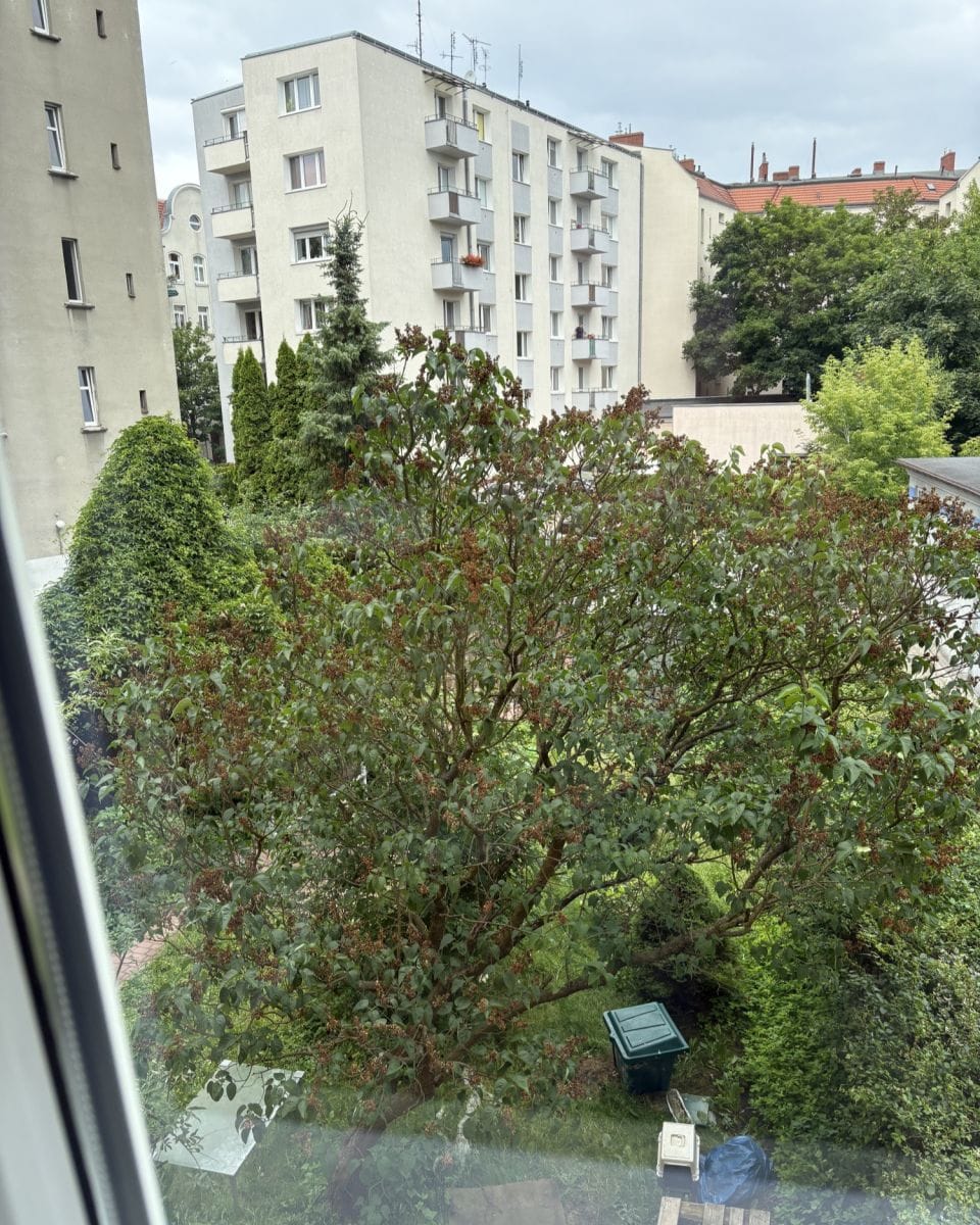 Mieszkanie 2 pokojowe na Wynajem