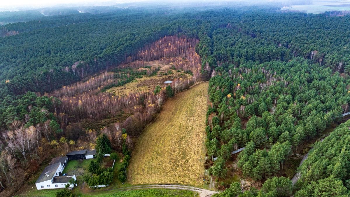 Działka  pokojowe na Sprzedaż