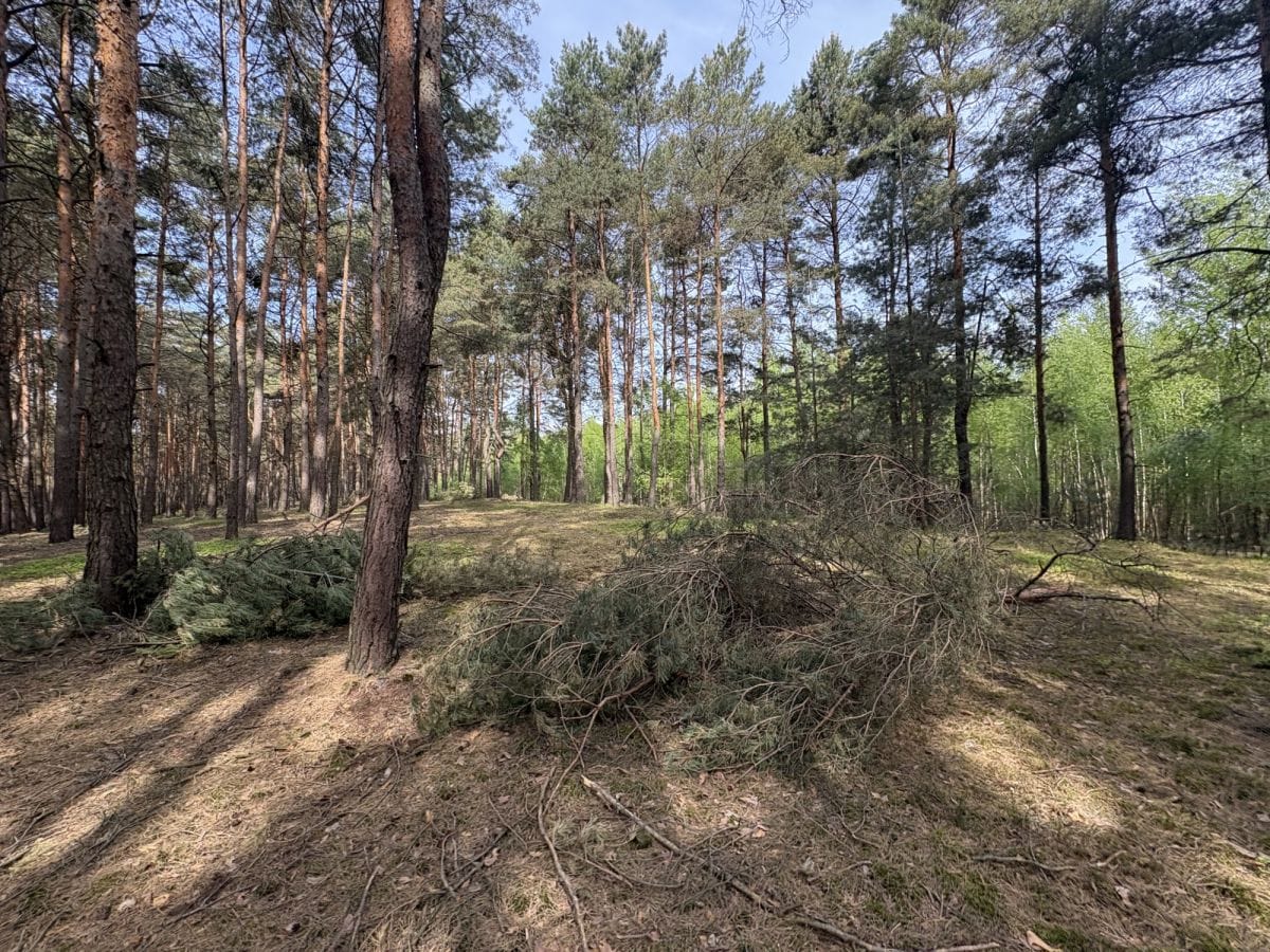 Działka  pokojowe na Sprzedaż