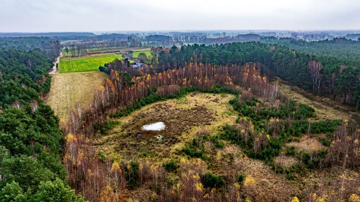 Działka  pokojowe na Sprzedaż