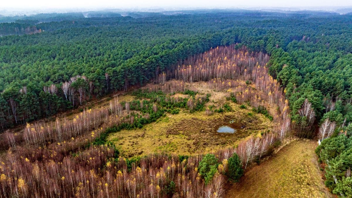 Działka  pokojowe na Sprzedaż