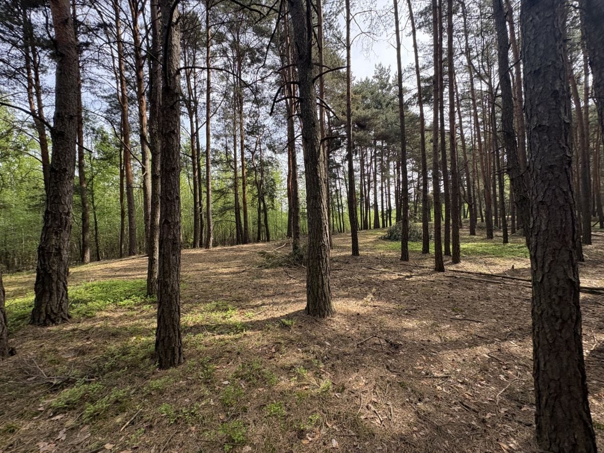 Działka  pokojowe na Sprzedaż
