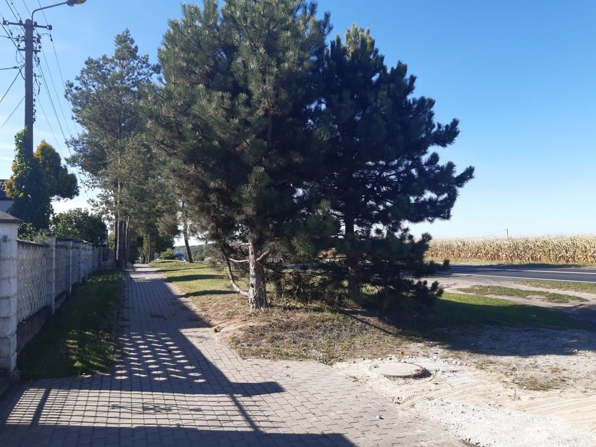 Działka  pokojowe na Sprzedaż