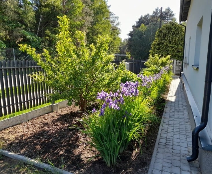 Dom 5 pokojowe na Sprzedaż