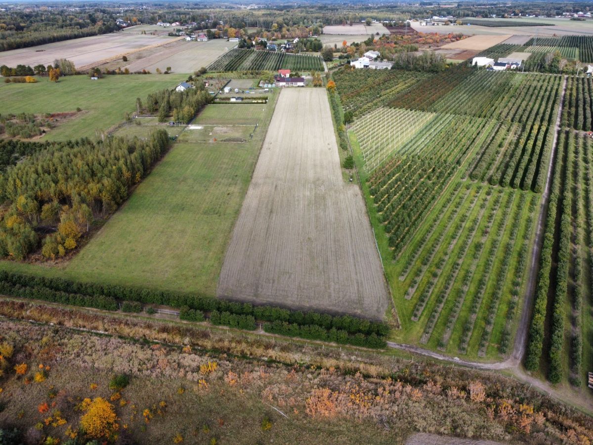 Działka  pokojowe na Sprzedaż
