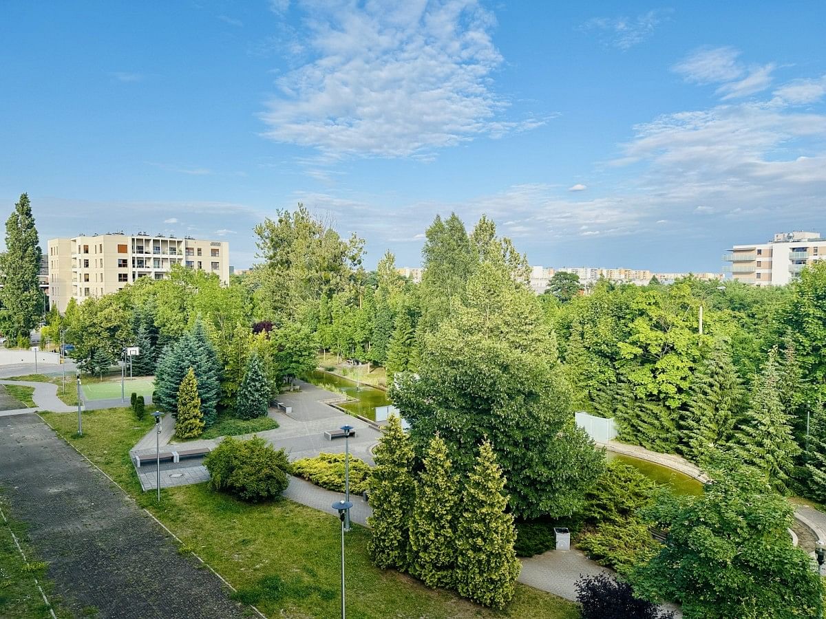 Mieszkanie 2 pokojowe na Wynajem