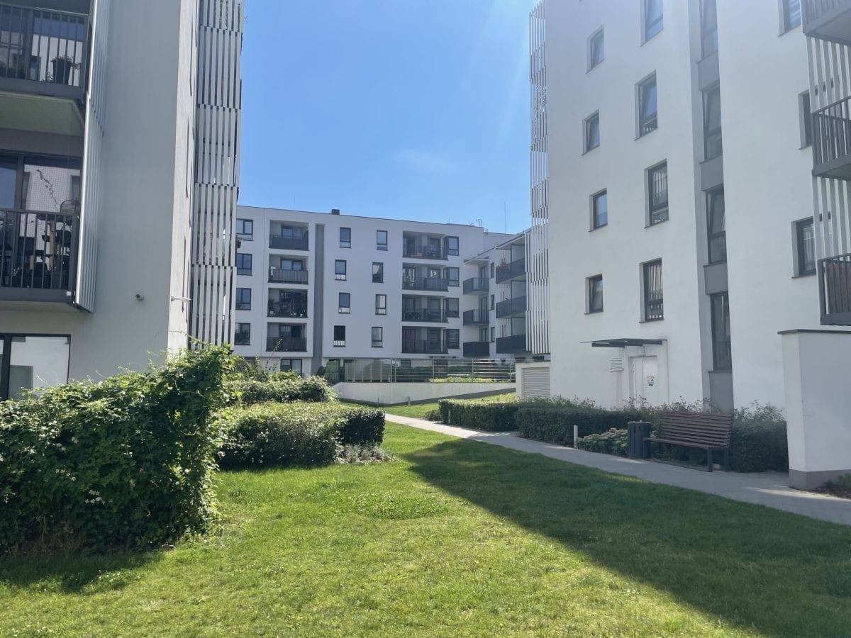 Mieszkanie 3 pokojowe na Wynajem