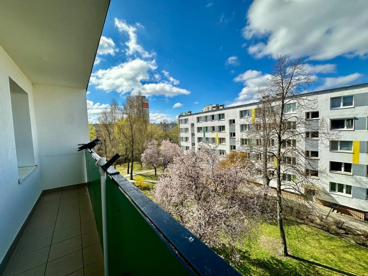 Mieszkanie 3 pokojowe na Wynajem