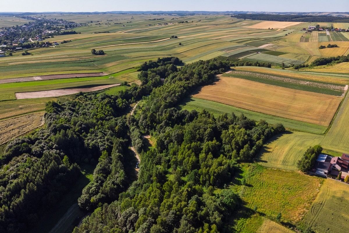 Działka  pokojowe na Sprzedaż