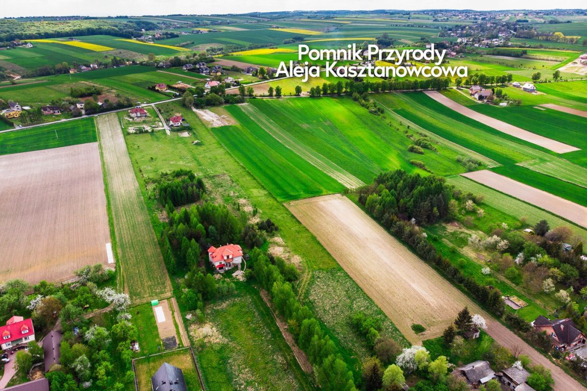 Działka  pokojowe na Sprzedaż