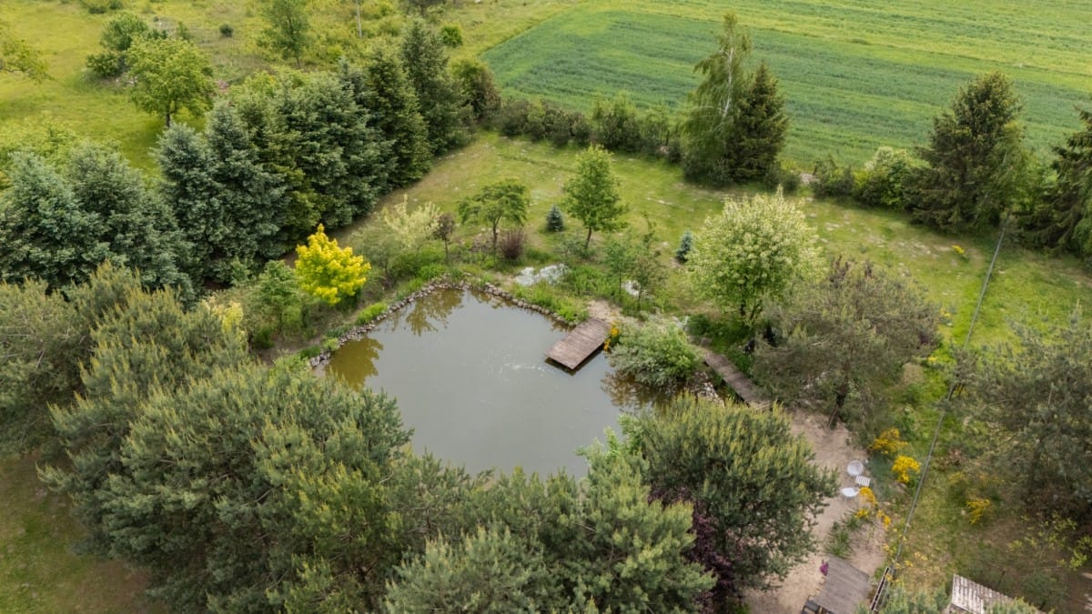 Dom 4 pokojowe na Sprzedaż