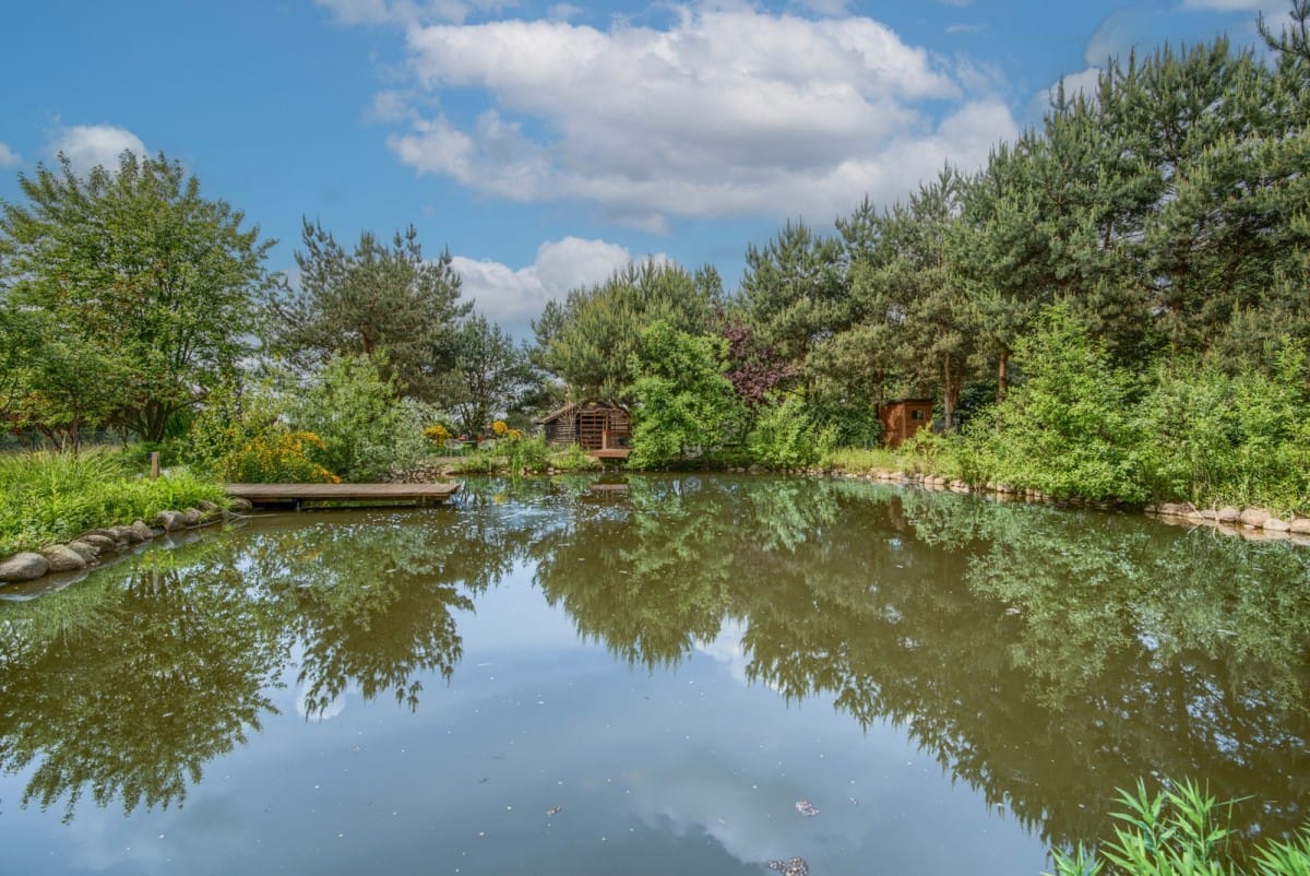 Dom 4 pokojowe na Sprzedaż