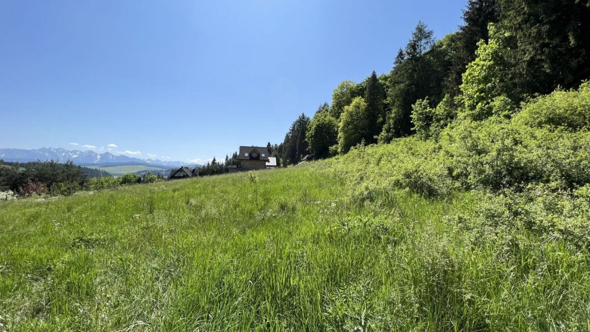 Działka  pokojowe na Sprzedaż