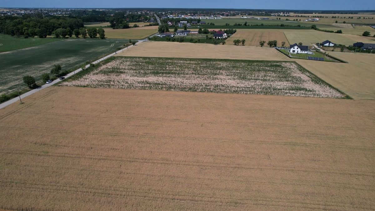 Działka  pokojowe na Sprzedaż