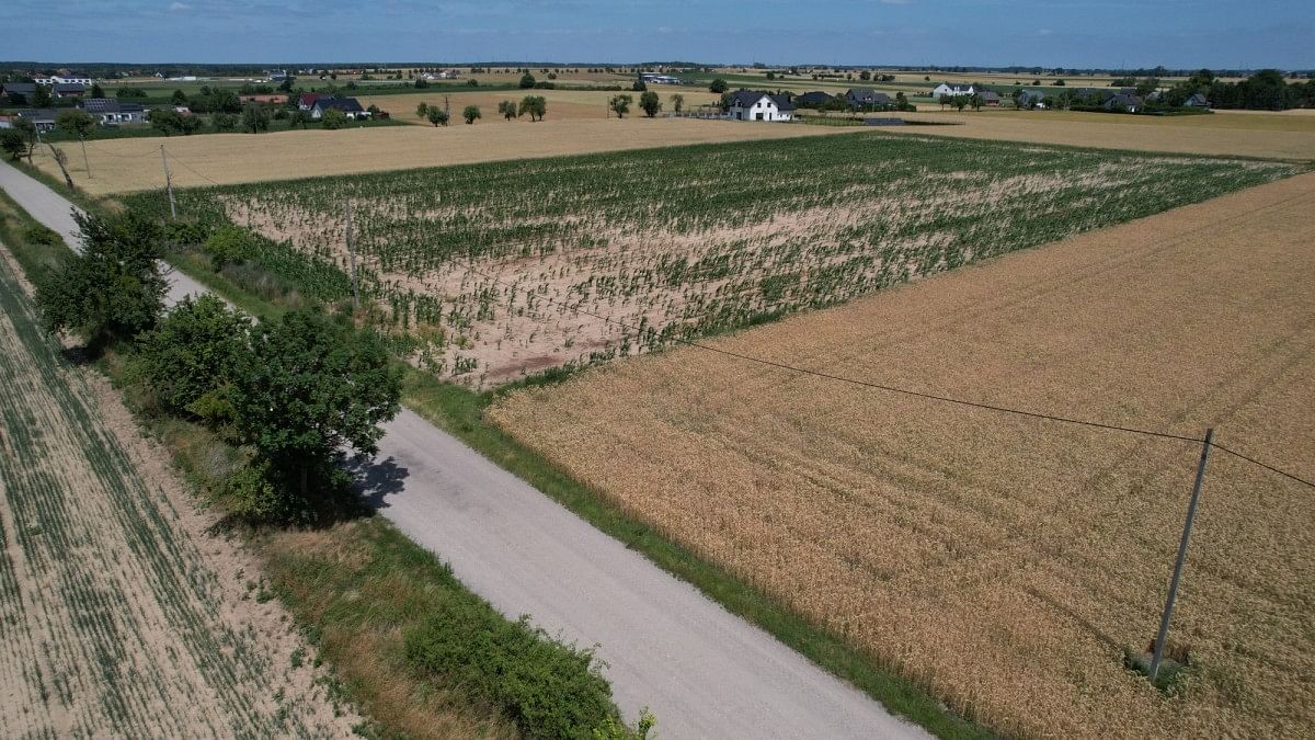 Działka  pokojowe na Sprzedaż