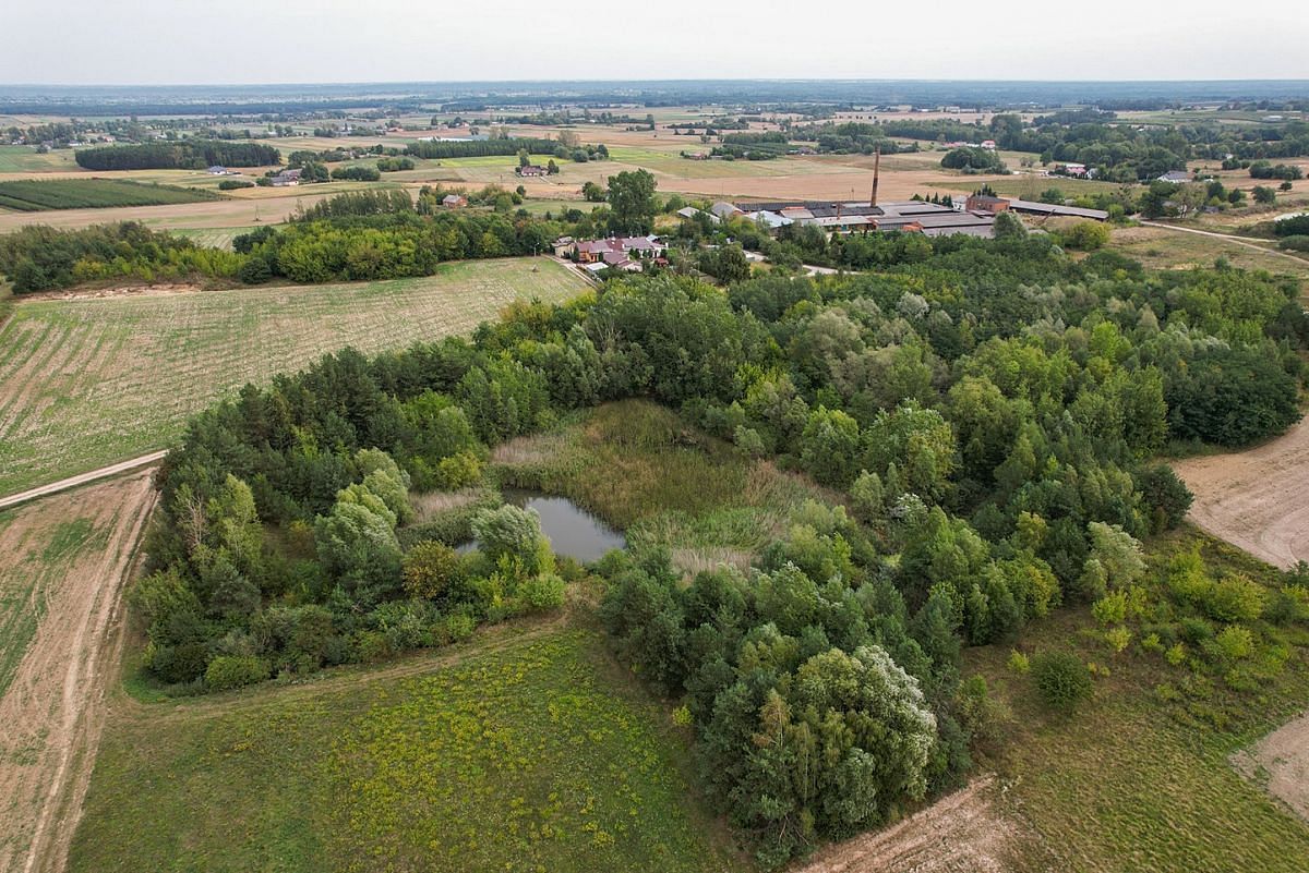 Lokal użytkowy  pokojowe na Sprzedaż