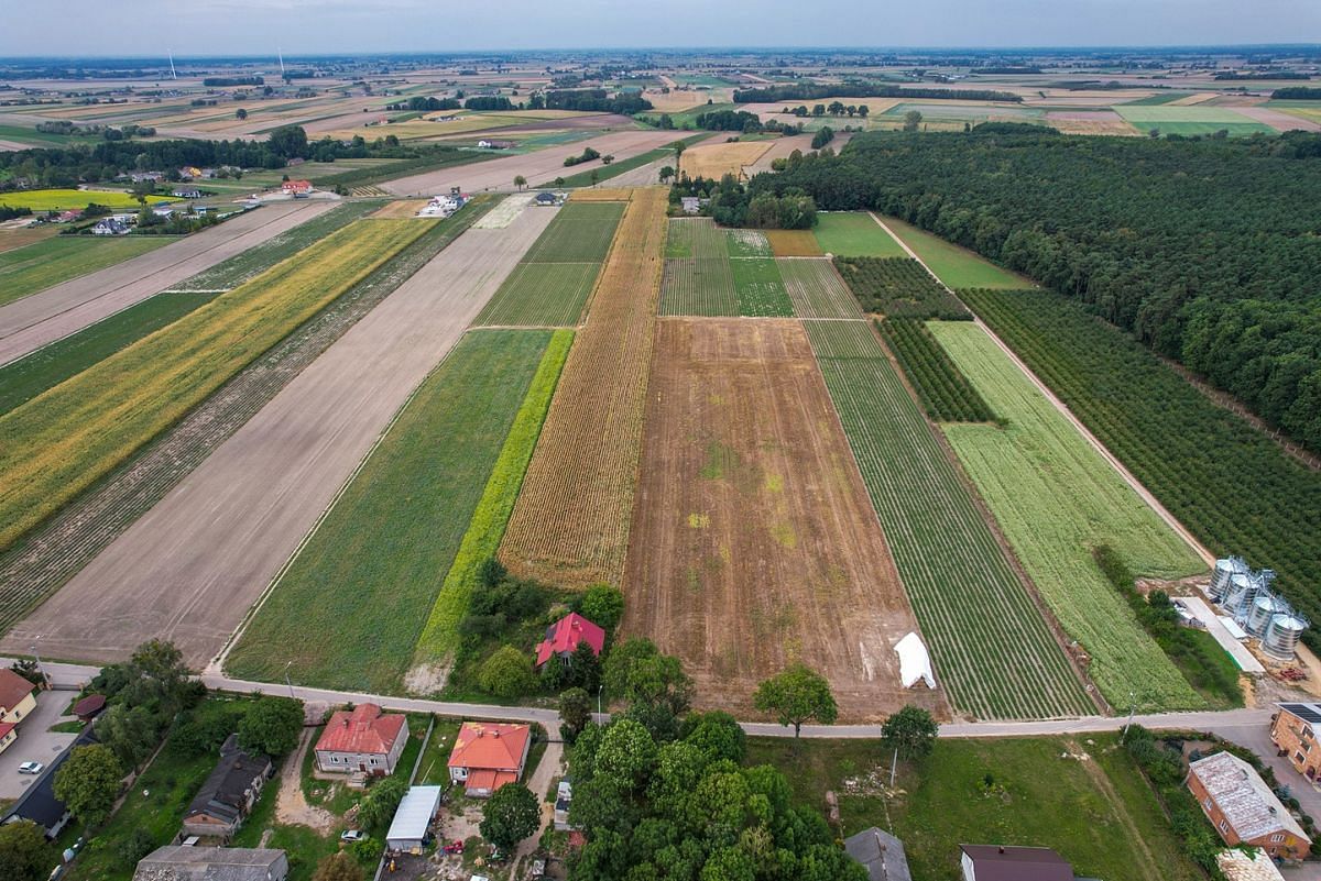 Działka  pokojowe na Sprzedaż