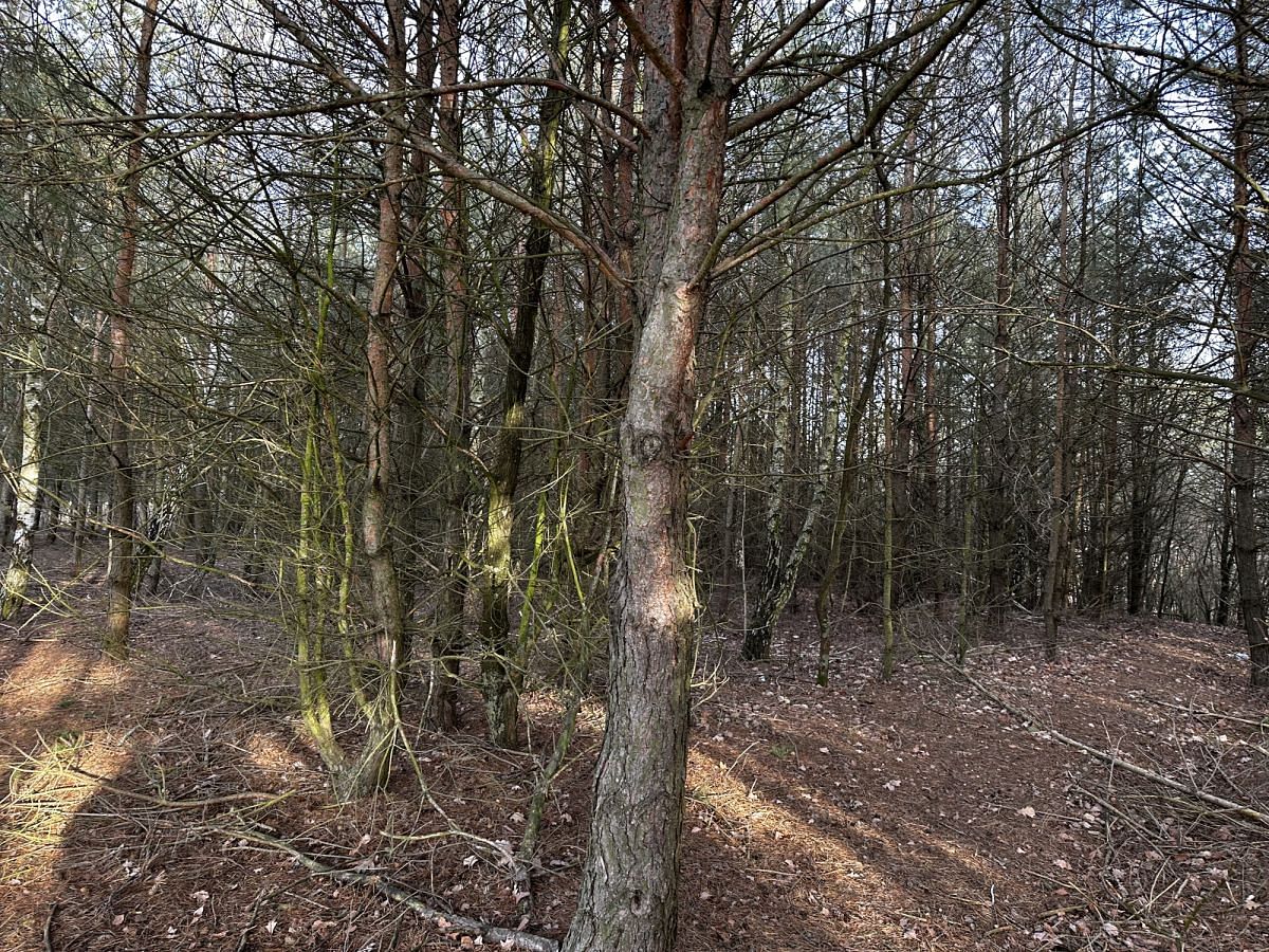 Działka  pokojowe na Sprzedaż