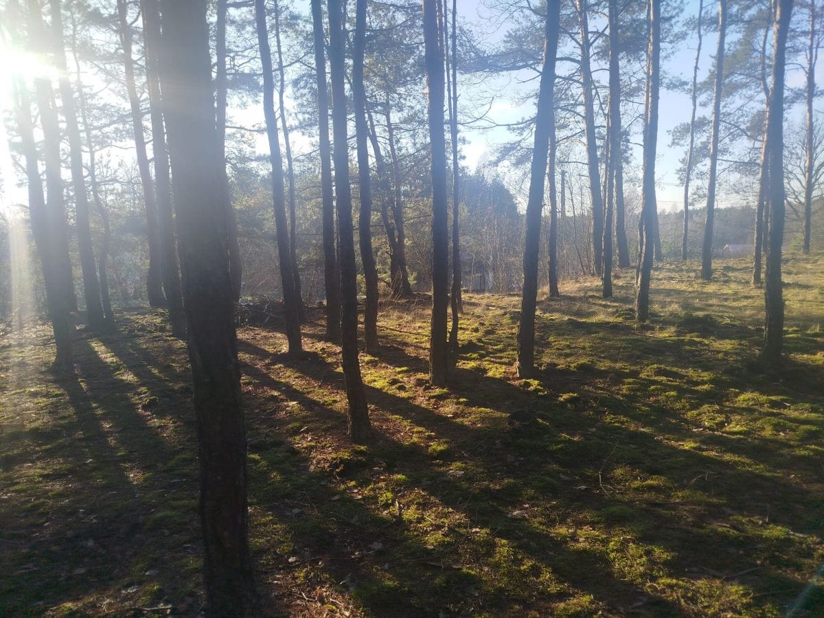 Dom 2 pokojowe na Sprzedaż