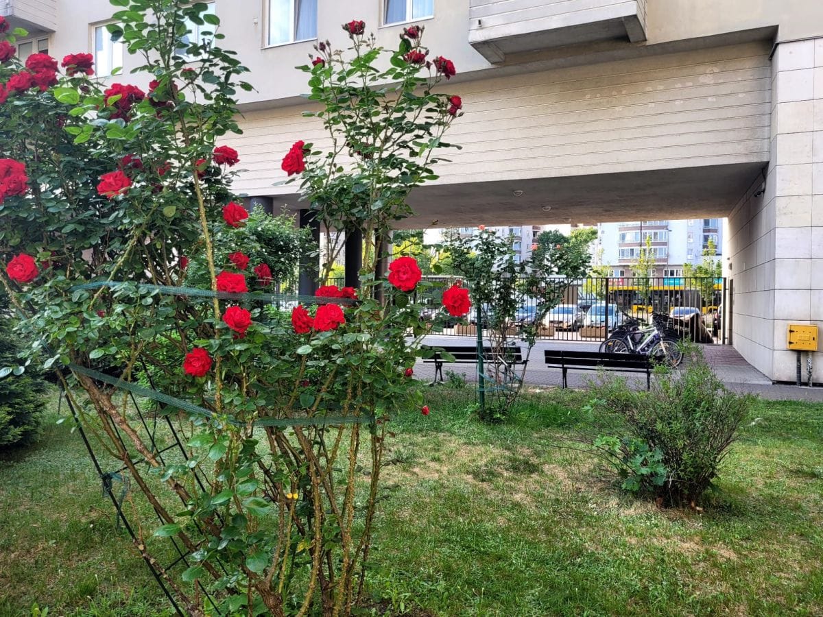 Mieszkanie 4 pokojowe na Sprzedaż
