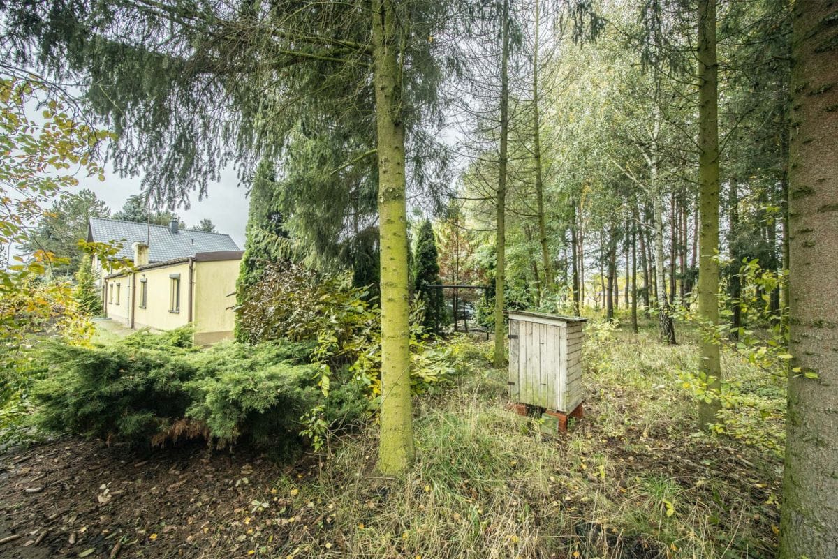 Dom 5 pokojowe na Sprzedaż