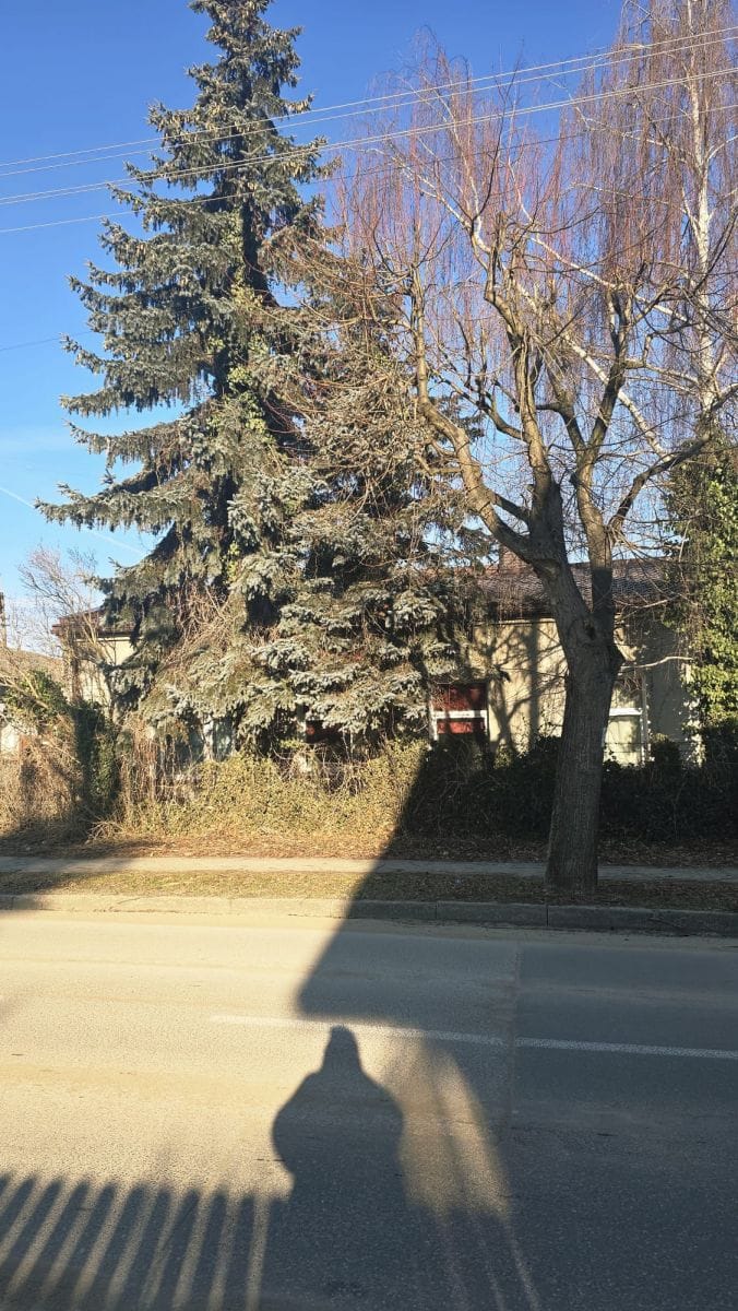 Dom 6 pokojowe na Sprzedaż