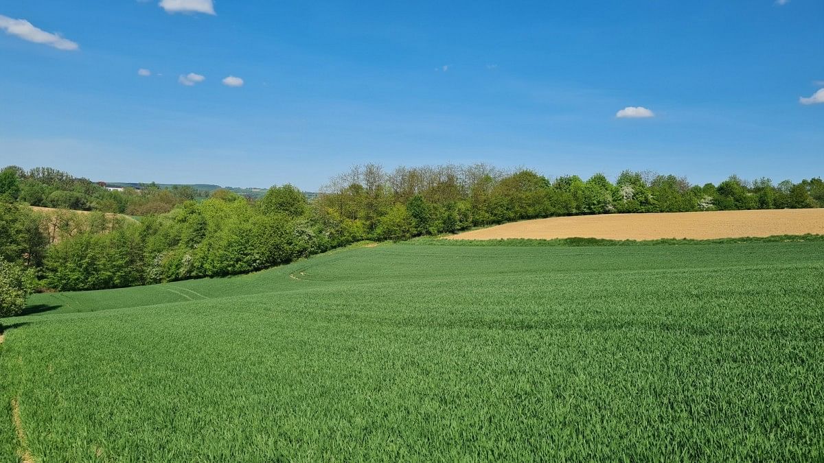 Dom 5 pokojowe na Sprzedaż