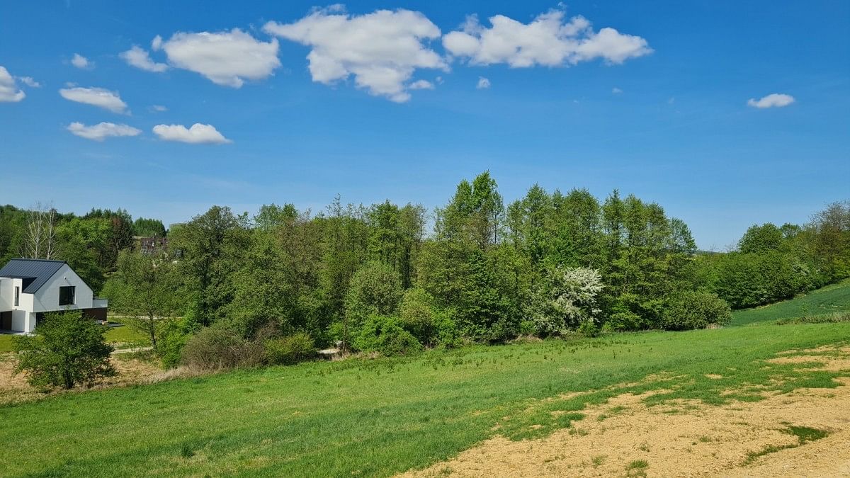 Dom 5 pokojowe na Sprzedaż