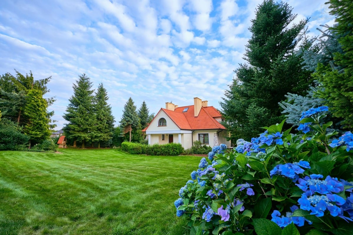 Dom 7 pokojowe na Sprzedaż