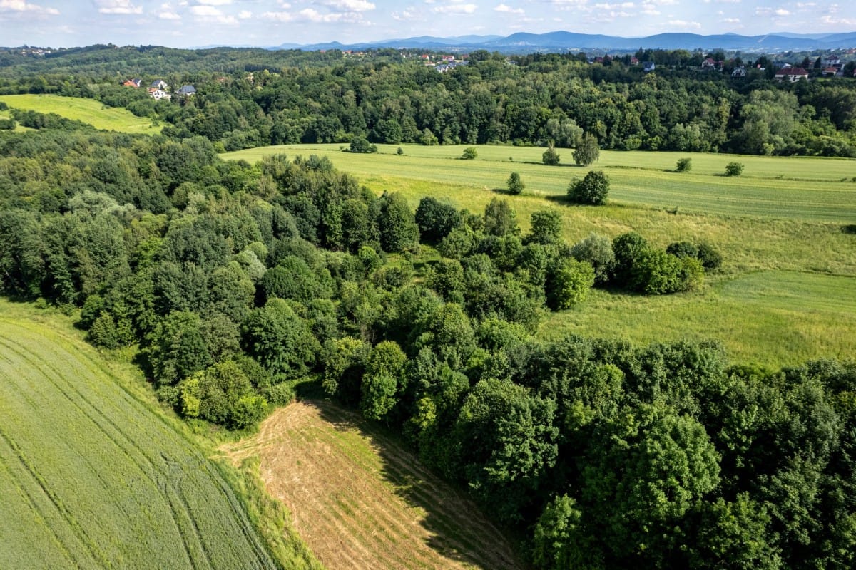Działka  pokojowe na Sprzedaż