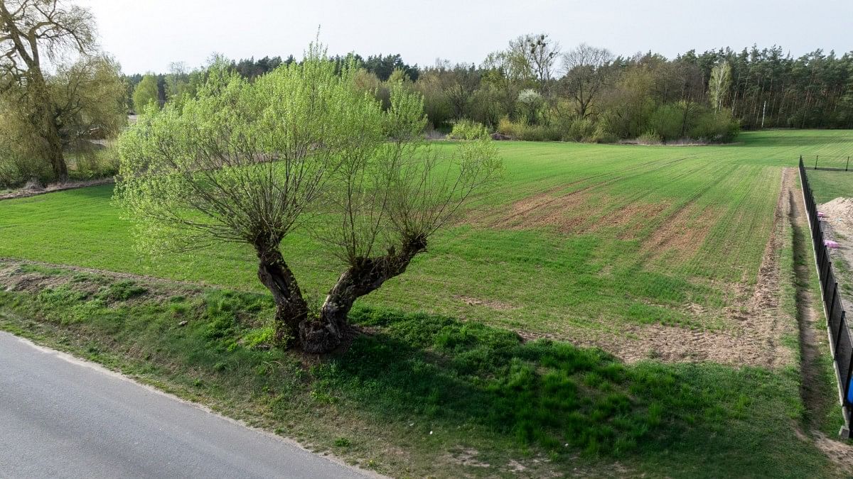 Działka  pokojowe na Sprzedaż