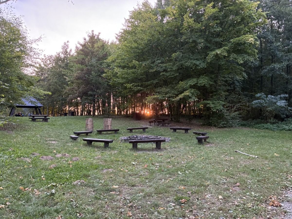 Dom 5 pokojowe na Sprzedaż
