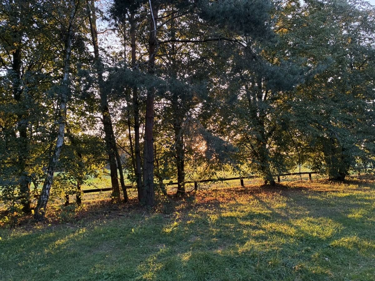 Dom 5 pokojowe na Sprzedaż