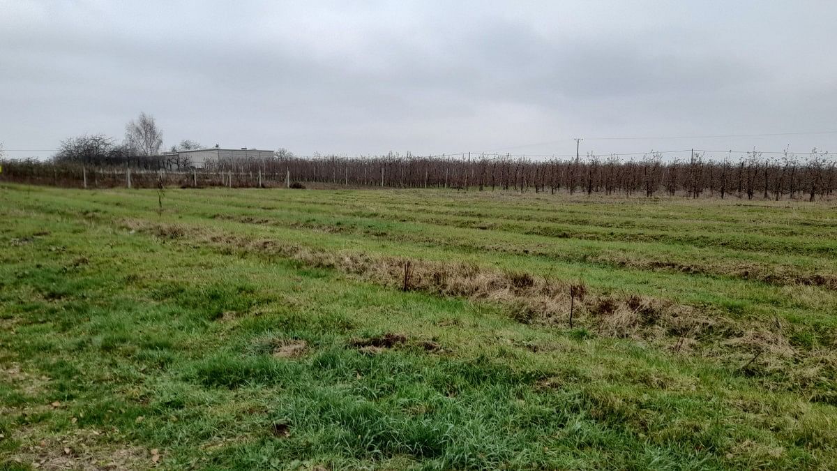 Działka  pokojowe na Sprzedaż
