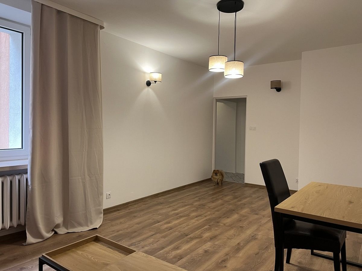 Mieszkanie 1 pokojowe na Wynajem