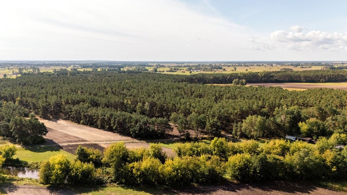 Działka  pokojowe na Sprzedaż