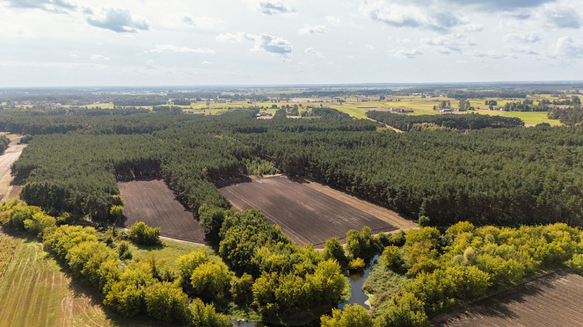 Działka  pokojowe na Sprzedaż