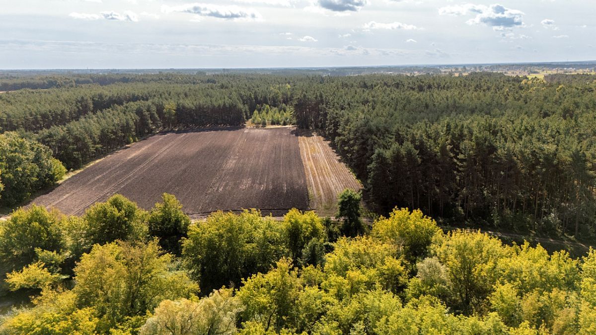 Działka  pokojowe na Sprzedaż