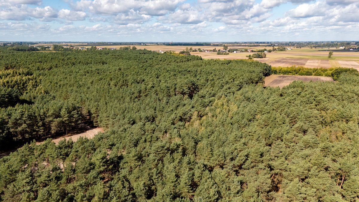 Działka  pokojowe na Sprzedaż