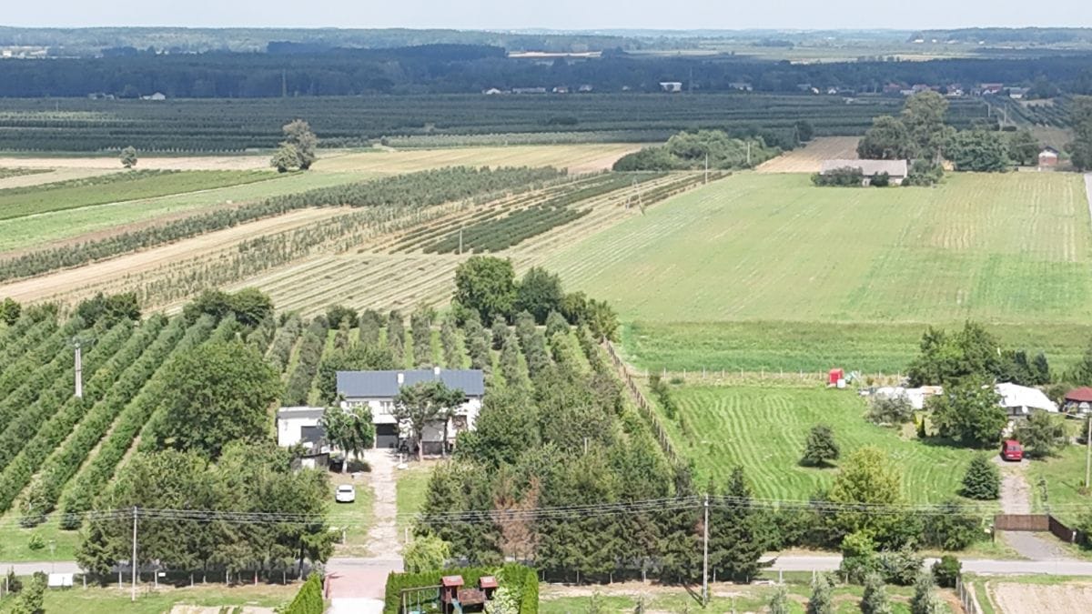 Dom 4 pokojowe na Sprzedaż