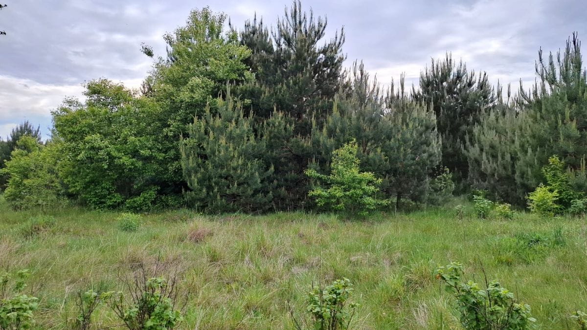 Działka  pokojowe na Sprzedaż