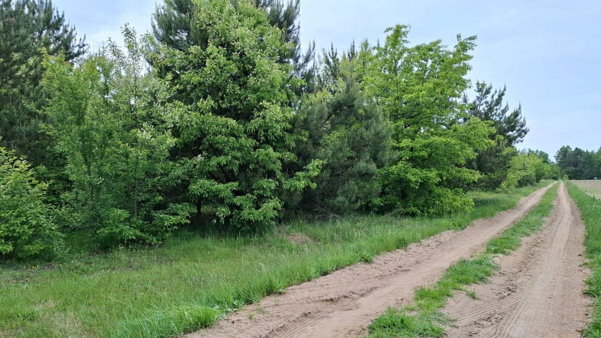 Działka  pokojowe na Sprzedaż