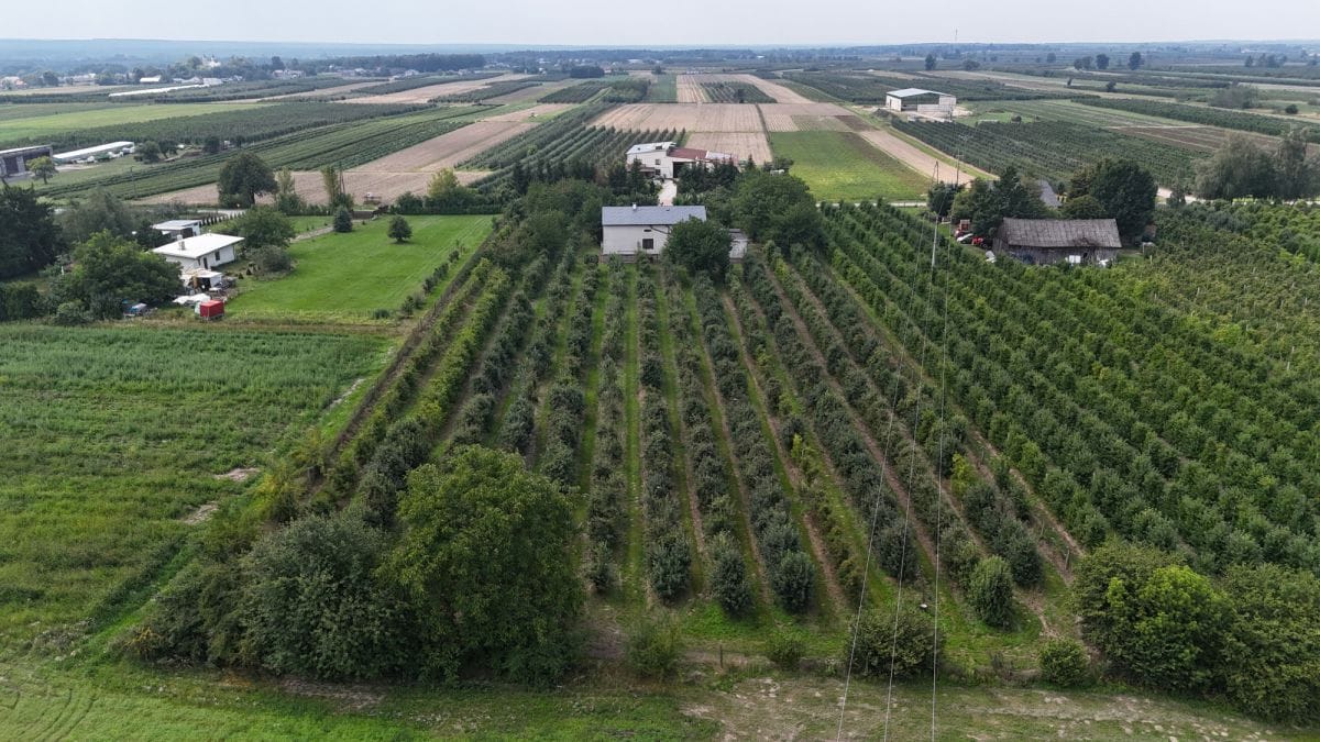 Działka  pokojowe na Sprzedaż