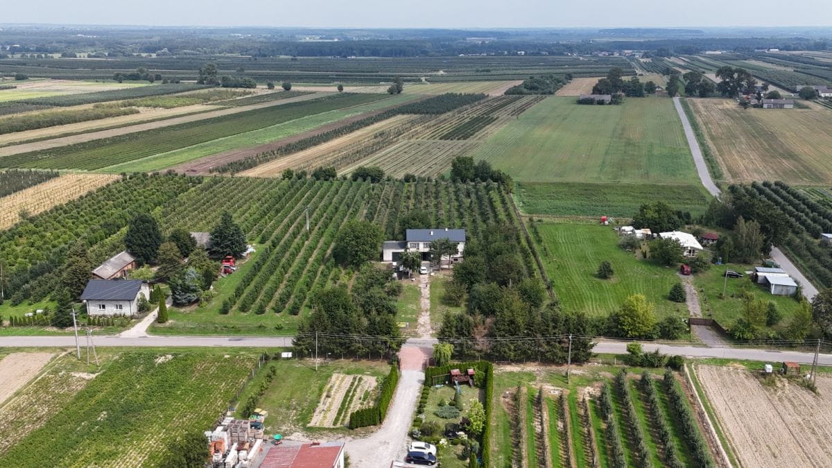 Działka  pokojowe na Sprzedaż