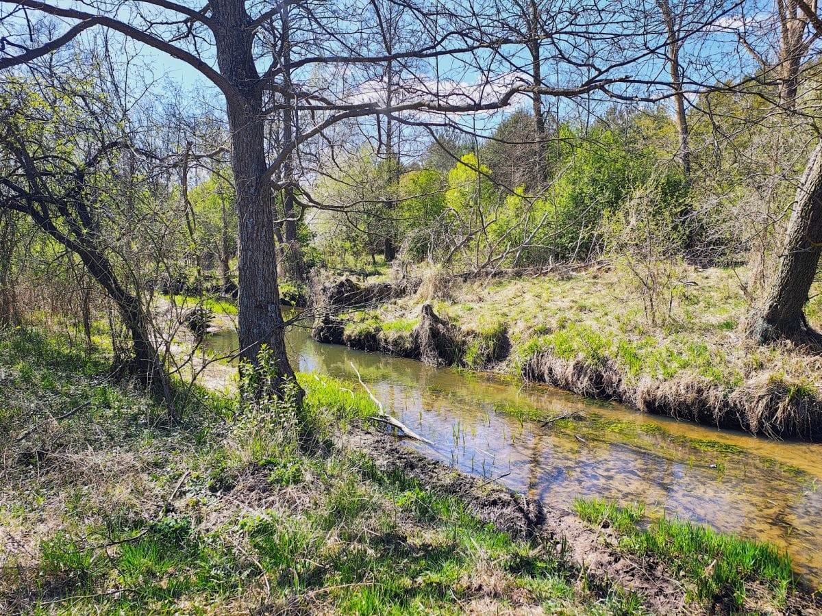Dom 2 pokojowe na Sprzedaż