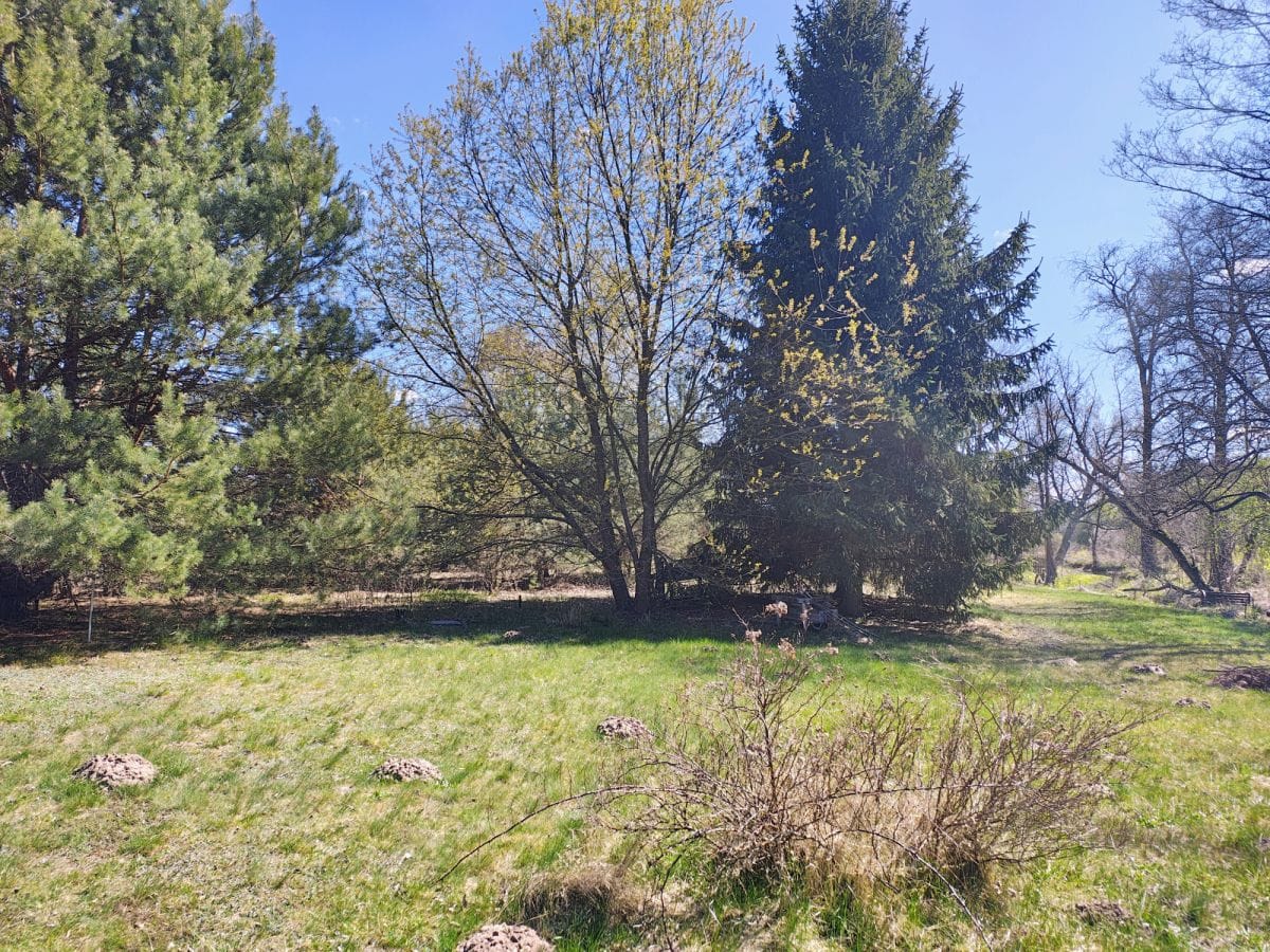 Dom 2 pokojowe na Sprzedaż